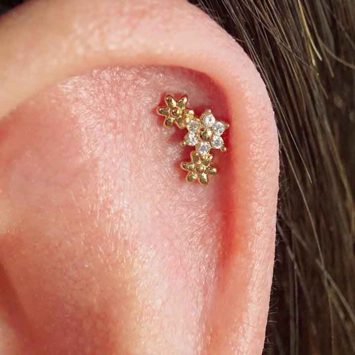 conch earrings