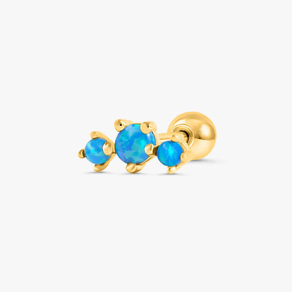 Blue Opal Earrings - EricaJewels