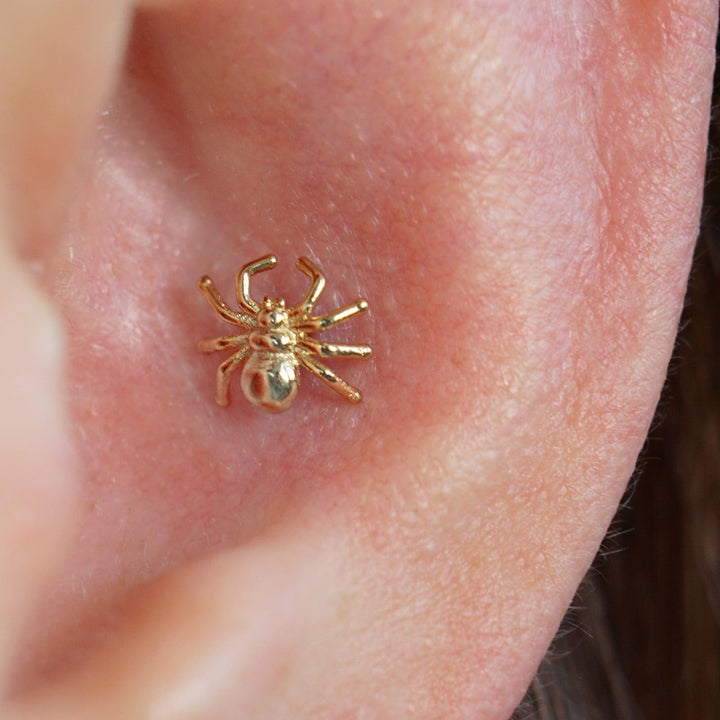 Spider studs