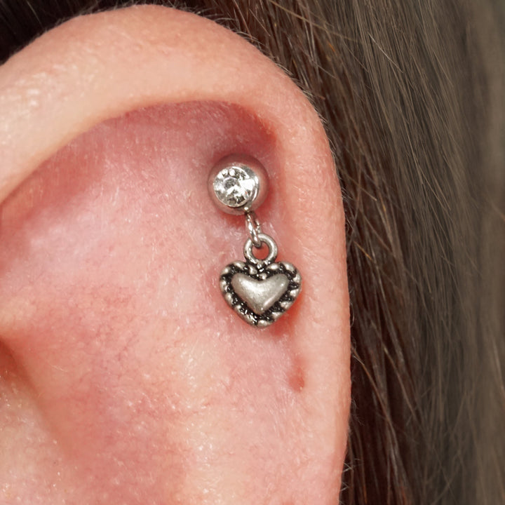 titanium dangle earrings 