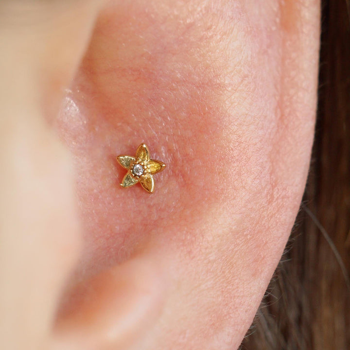 conch stud