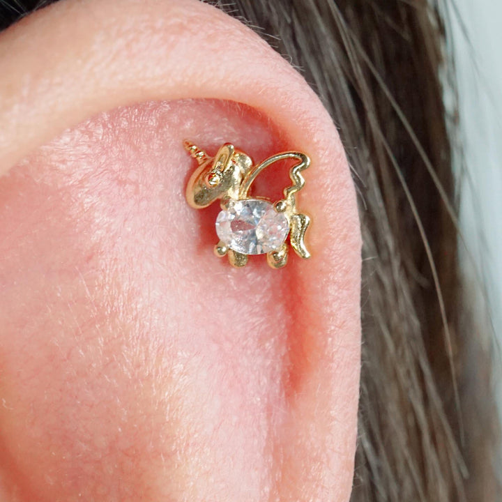 conch earrings