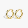 Lobe Lever Back Hoop Earrings