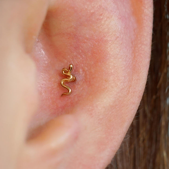 snake tragus